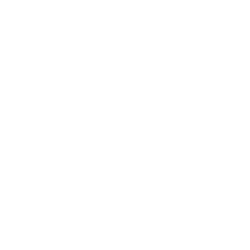 Volleyball Nations League